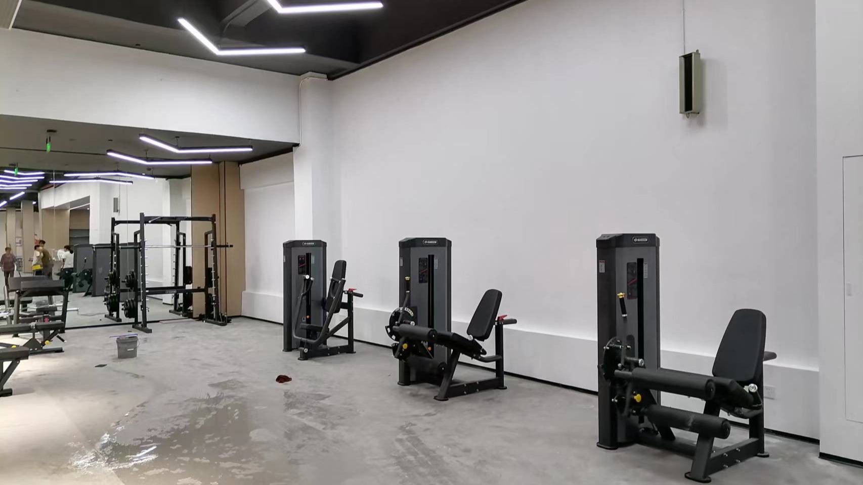 2025年室內(nèi)健身器材發(fā)展現(xiàn)狀