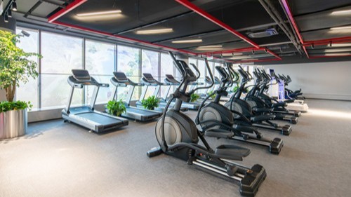 健身器材名稱及圖片基礎(chǔ)的都有哪些！悍德森來為您解答!