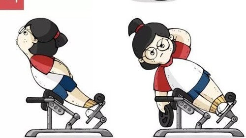 羅馬椅練的是哪個部位 原來練這里！