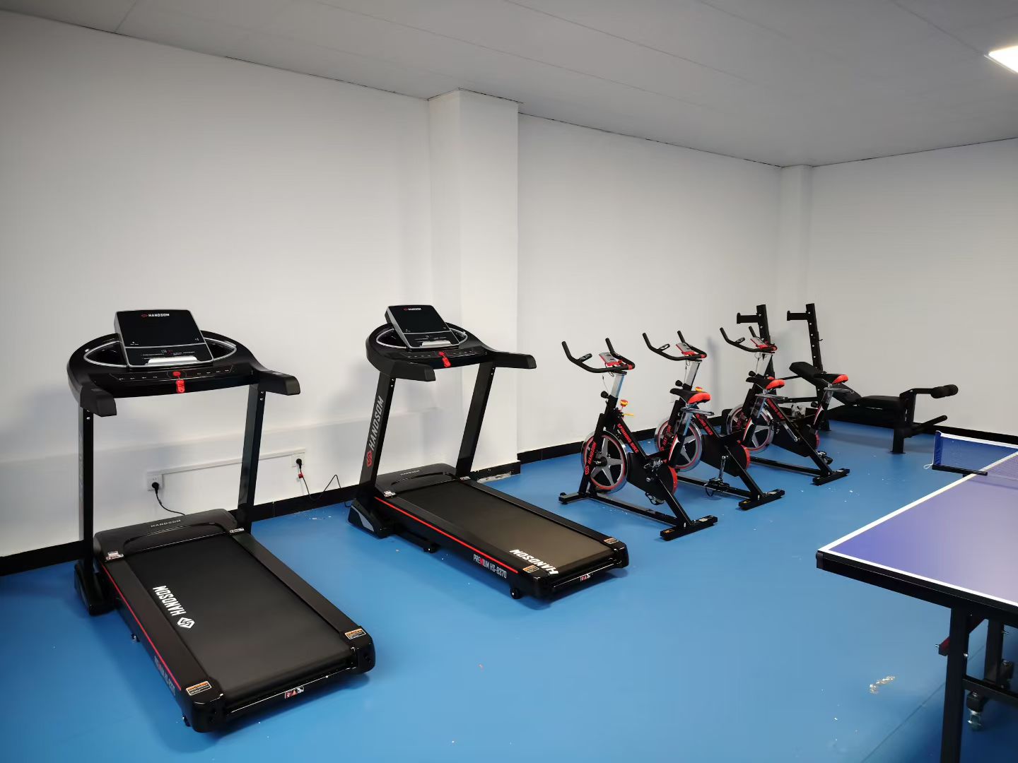 悍德森| 某事業(yè)單位 健身房配置方案 悍德森| 某事業(yè)單位 健身房配置方案