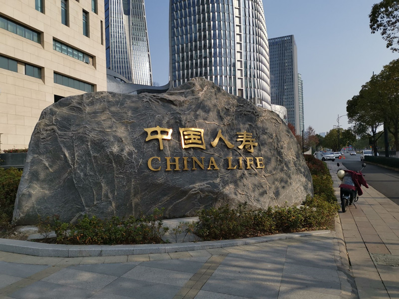 中國(guó)人壽-18_副本